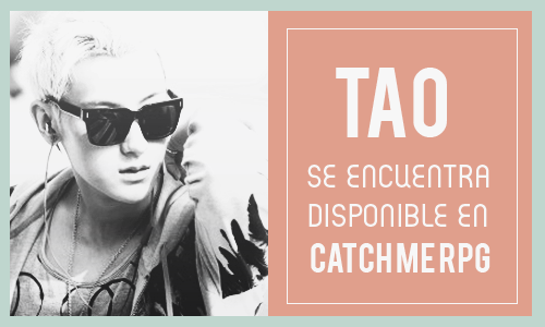 catchmeRPG's tweet image. En catchmeifyoucan.boum.tv  buscamos a #Tao ¿nos traerías a este panda? ¡Te esperamos!