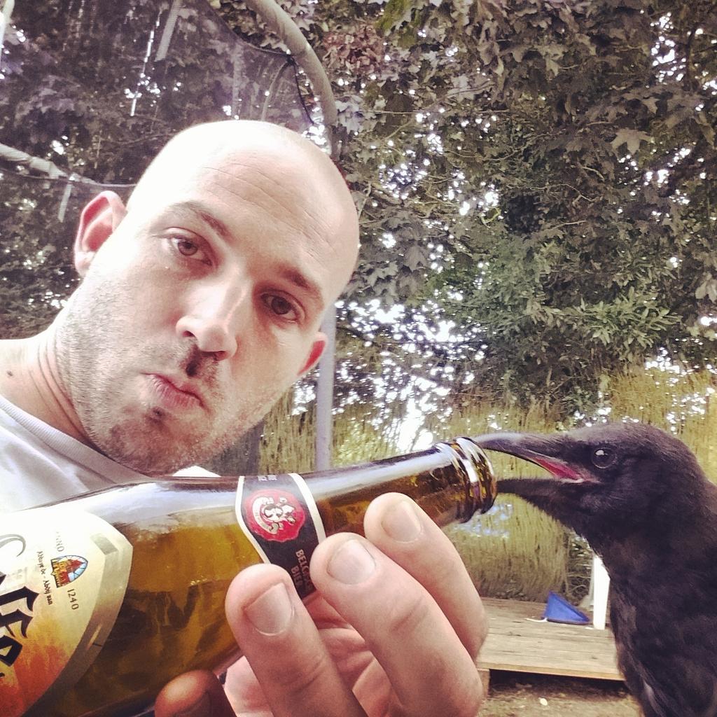 remirem2's tweet photo. #raven #corbeau #crow #selfie #birdfriend http://t.co/BrzDzwieNC