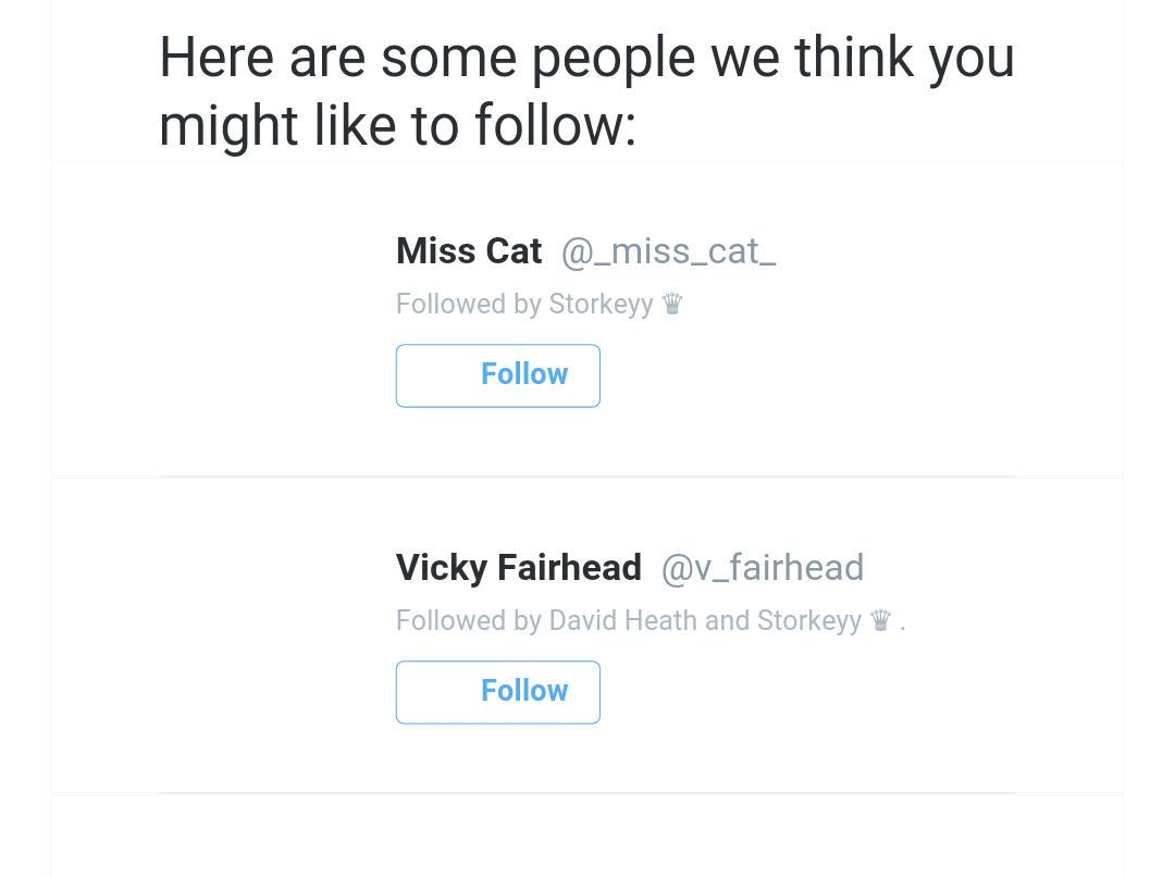 Miss Cat tweet media