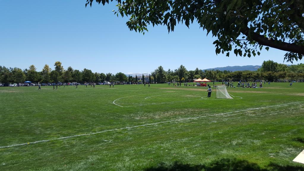 3dGirlsNorCal's tweet photo. #PacificHighlight presented by @3dLacrosse is in full swing! Beautiful day for some beautiful lax! #3drollcall http://t.co/4P45XJ6glQ
