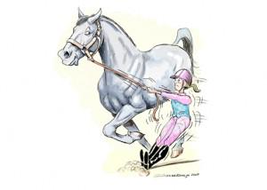 horseandhound's tweet photo. Horse adverts: what they say versus what they really mean - Horse &amp; Hound http://t.co/YoynIhj9sM http://t.co/BHeCDUG3WY