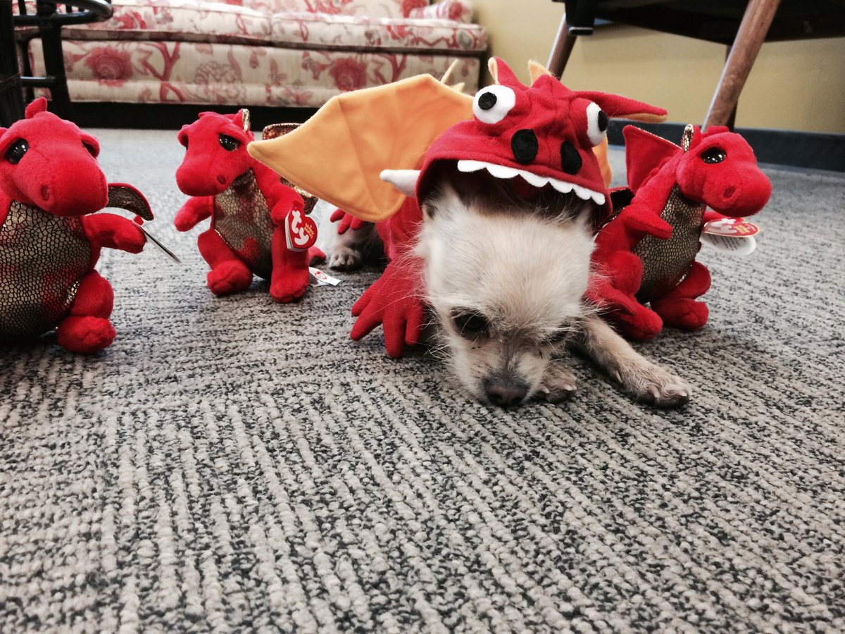 lorettaramos's tweet photo. Patiently waiting for the #RedDragon's debut tonight. 
#Hannibal @NBCHannibal @RCArmitage @BryanFuller http://t.co/AzIdKANwEW