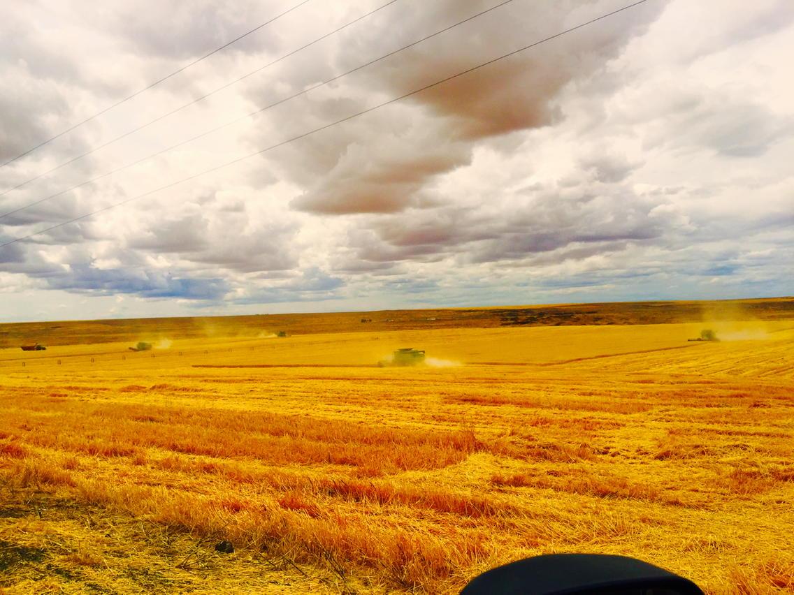 #harvest15 looks like we have a few clouds rolling in on the north farm