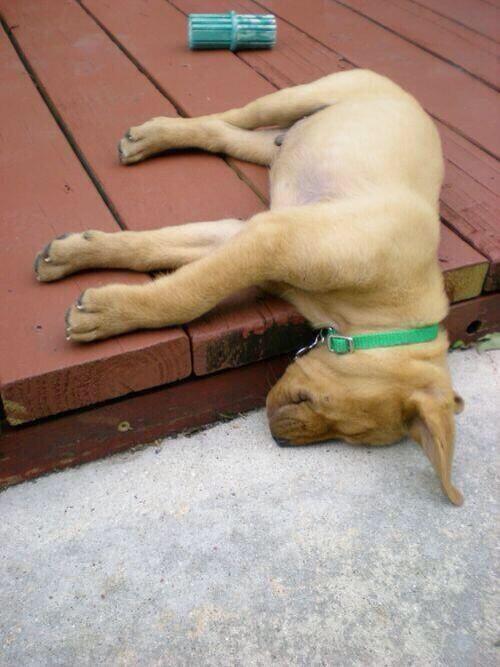 When is this week going to be over...