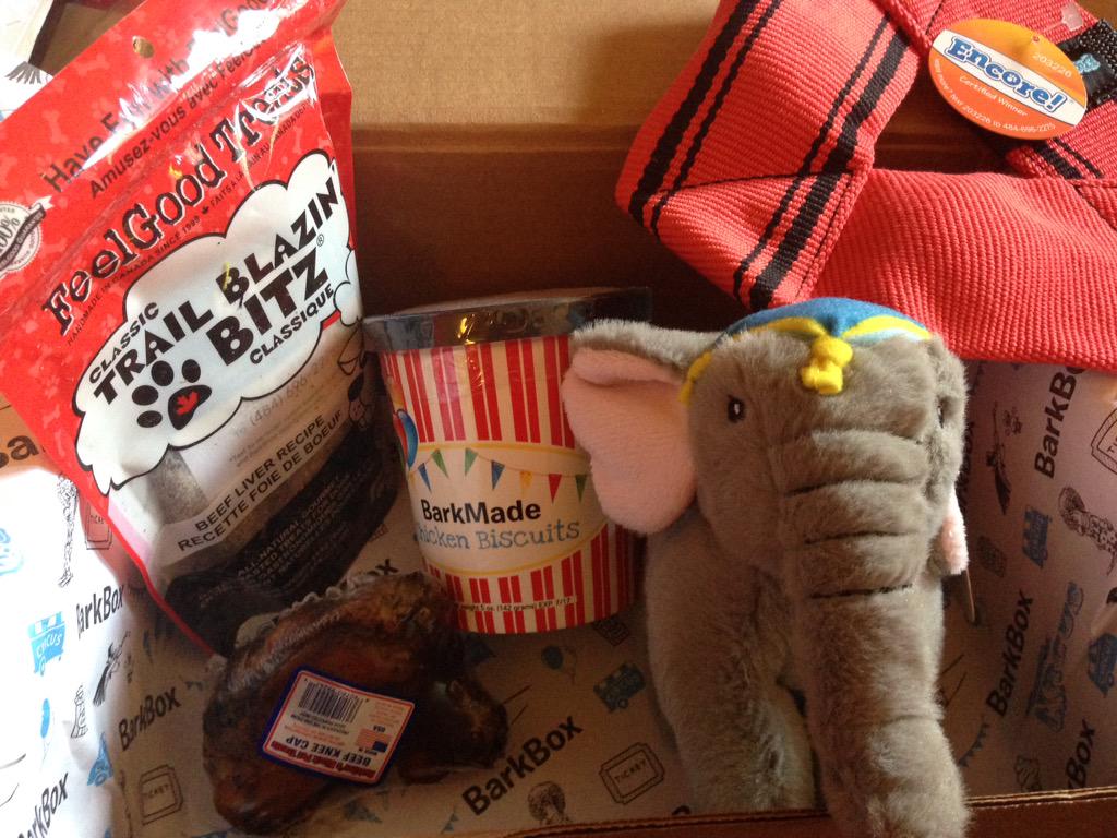 nbetler's tweet photo. The Ladies love their @barkbox! @HealthyDogma @EncorePetFood @Feelgoodtreats #barkmade #butchersblockpettreats http://t.co/0n5ogWlfdY