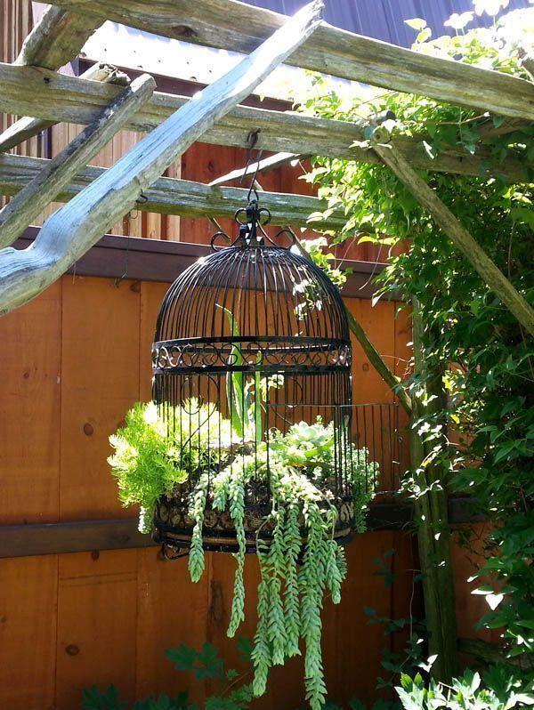 Gardening DIY Life on X DIY Bird cage idea for garden planter gardens gardening garden landscaping diy http t wO1wiQbDzO http t JamqQYpUga X
