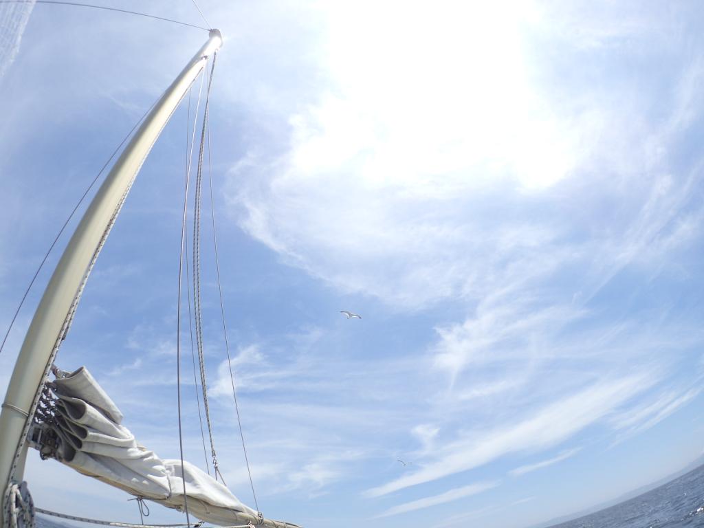 tm99fish's tweet image. 昨日のタチウオ 前日の釣果情報に反して渋かった～