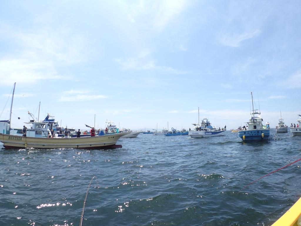 tm99fish's tweet image. 昨日のタチウオ 前日の釣果情報に反して渋かった～