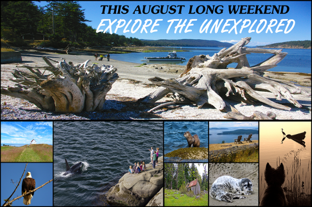 SunnySaturna's tweet photo. Have you visited Saturna Island yet? #saturna #vacation #augustlong #beautifulbc @HolmanGary @GulfIslandsNPR http://t.co/Dlsx2mtim0