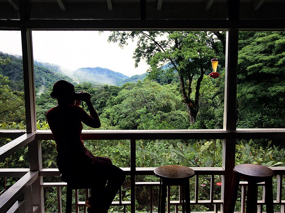ltgreen4nature's tweet photo. #TrinidadAndTobago #Nature  RT @Zaganashikwe "...Asa Wright Nature Centre in the Northern Range,  #Trinidad. https://t.co/Tk3Kh2zwFD"