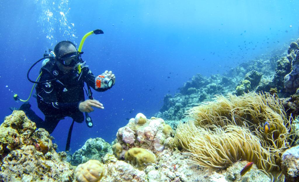 kristupa's tweet photo. Scuba diving di Kep Padaido #Biak #Papua #Indonesia bersama @BiakDiveResort
Foto: Yudith #FNdive @fotografernet #FN12 http://t.co/balv9KUeIf