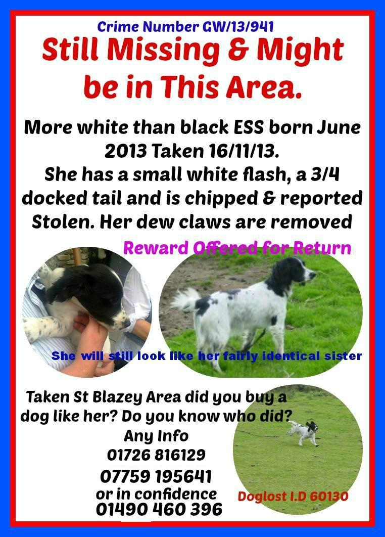 Sarah Williams tweet media