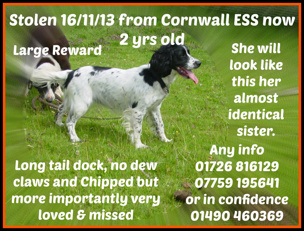 Sarah Williams tweet media