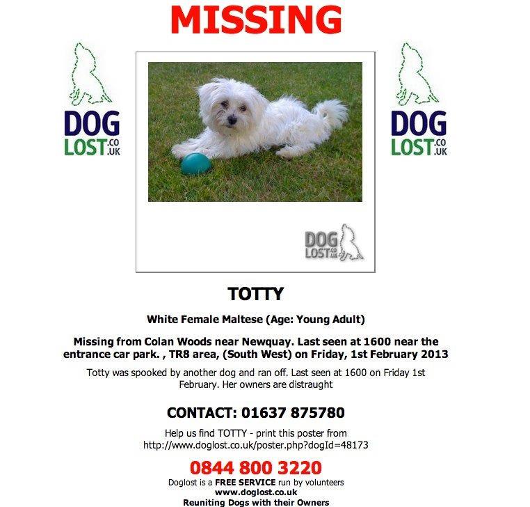 Sarah Williams tweet media