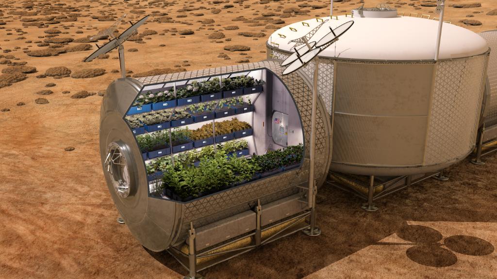 NASA's tweet photo. 'Lettuce' tell you how veggies growing on @Space_Station will help on our #JourneyToMars: http://t.co/xGCzUIbcvX http://t.co/BRTPyYqmEz