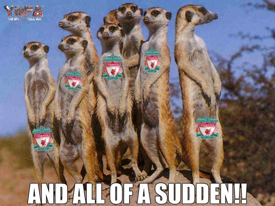 DenEdge's tweet photo. There out n force today #gimps http://t.co/tySMkE65EU