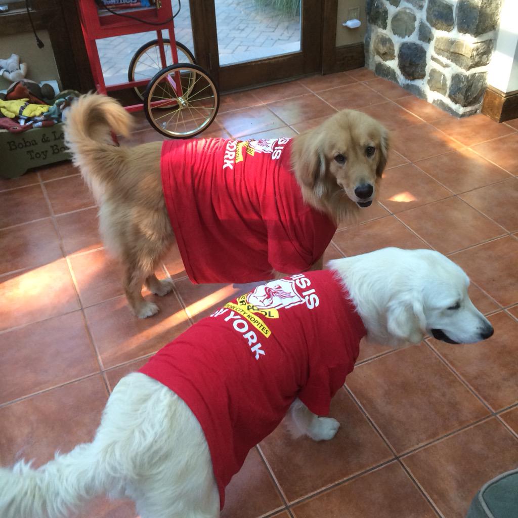 Marbag01's tweet photo. Somebody is ready for football!! @NYCKOPITES @TheIApub http://t.co/FeeoVDEIzU