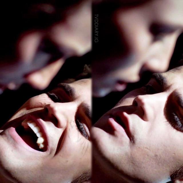 TVDFansHQ's tweet photo. Stefan and his #Vampface
#TVD #TheVampireDiaries http://t.co/AEPmRl16kC