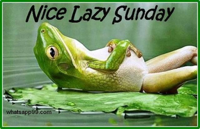 OptimumCV's tweet image. Feeling guilty about enjoying your #Sunday when you should be working on your #CV? Don’t! We can take care of that!