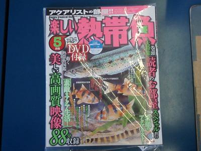 楽しい熱帯魚 楽しい熱帯魚