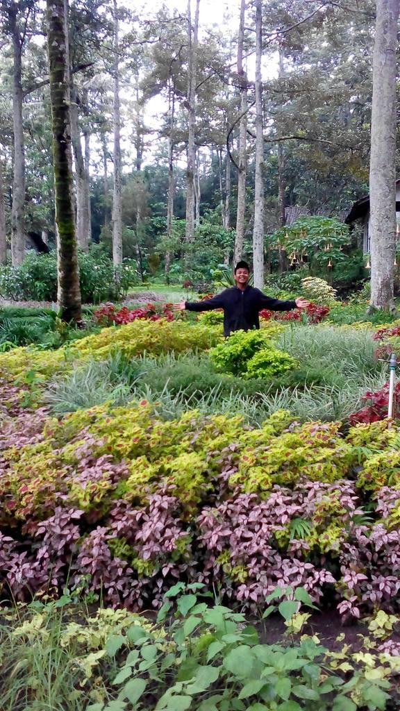 Ig Mhixko No Twitter At Solehsolihun Taman Bunga Kelir Ada