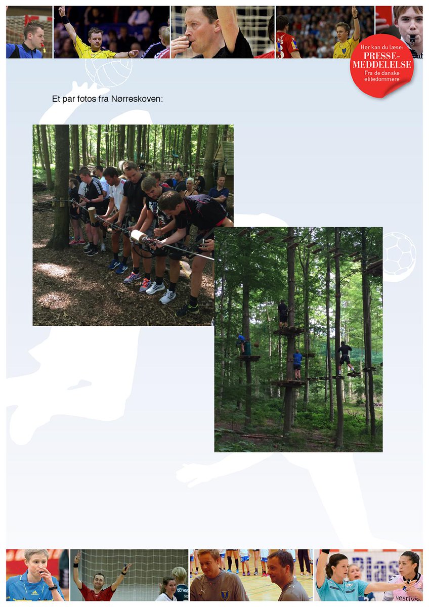 Læs om årets dommersamling og bliv klogere på, hvor DHF mener vi kan forbedre vores indsatser.