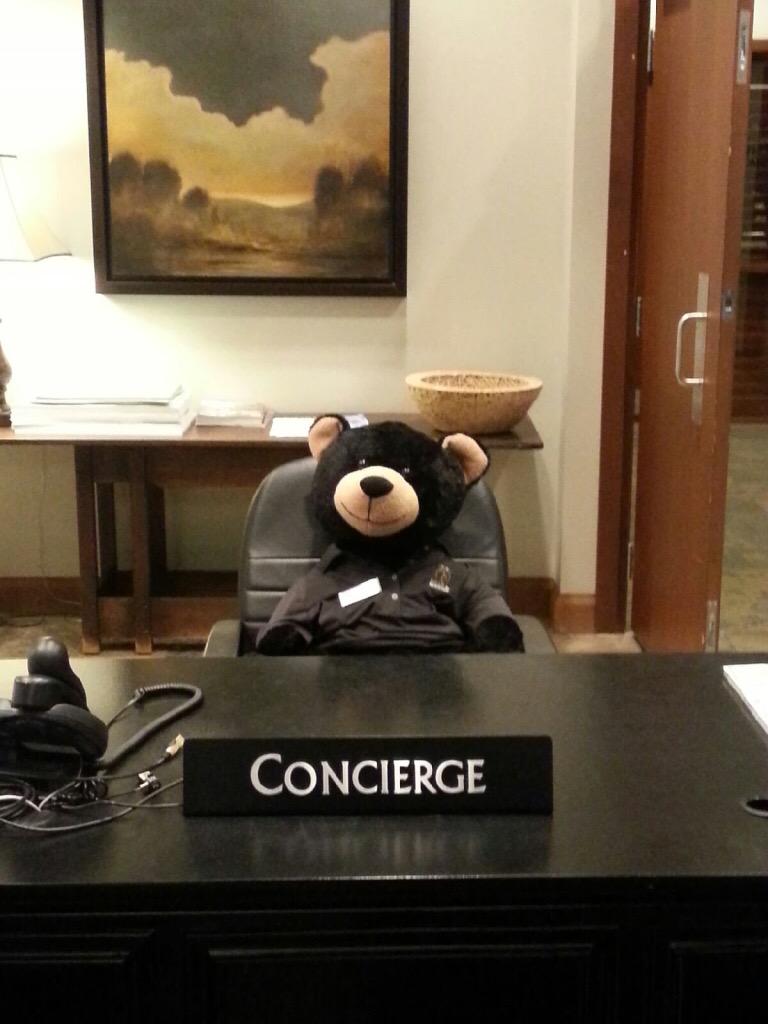 BearMountain's tweet photo. Your new concierge - #ChipTheBear! #spglife #westin @spg @Westin #yyj http://t.co/UthA48AHvr