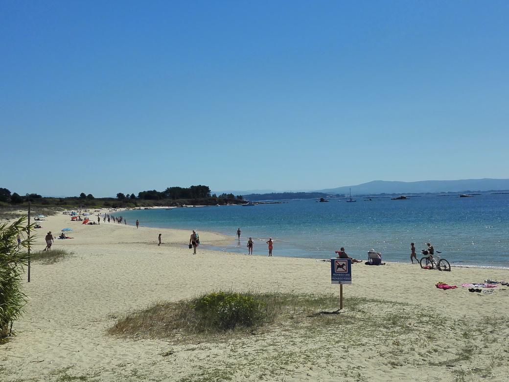 cfdezmunin's tweet photo. Cada día una praia, A Coruña Palmeira #arousanorte #usethebike #abarrotedominguero http://t.co/1XCbQEC9zu