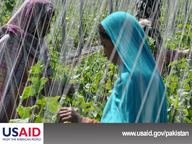 Over 70% of women involved in economic activities in #Pakistan are working in #agriculture. 
#AgriculturalMarkets