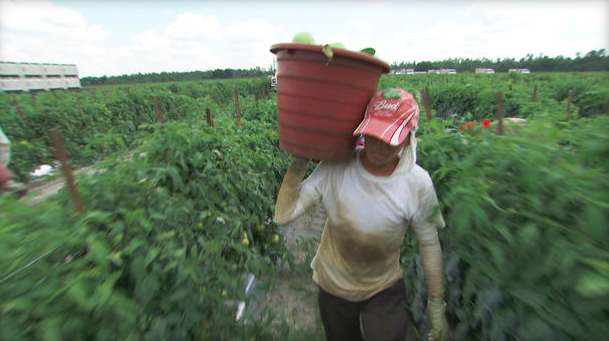 RealFoodandJobs's tweet photo. RT @CivilEats The growing demand for "fair food" http://t.co/Ee10FOr5S3 @ciw http://t.co/LhpkYcFUxU