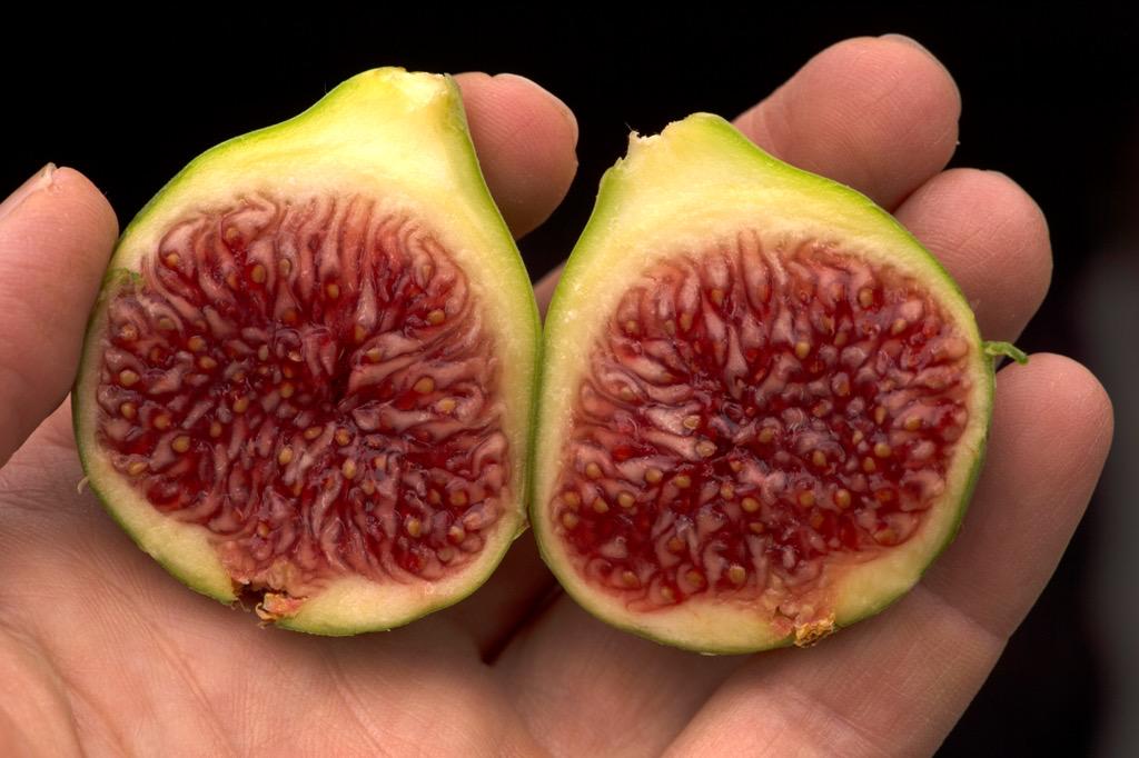 latimesfood's tweet photo. Do you know your figs? Here's a quick guide to the best types and how to choose them. http://t.co/cyFp5QTvXa http://t.co/405B3BL8W6