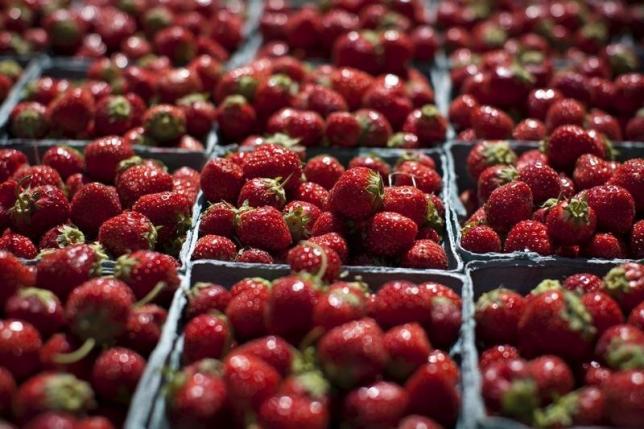 WHO Urban Health tweet media