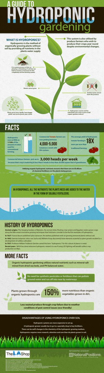 eddygrows's tweet photo. http://t.co/Rk2mb0MA0r Why is #hydroponics a big deal? "uses as little as 1/10th of the amount of water" #savewater http://t.co/OQD7DkFOkr
