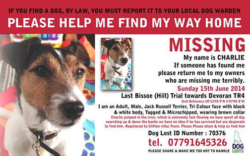 Sarah Williams tweet media