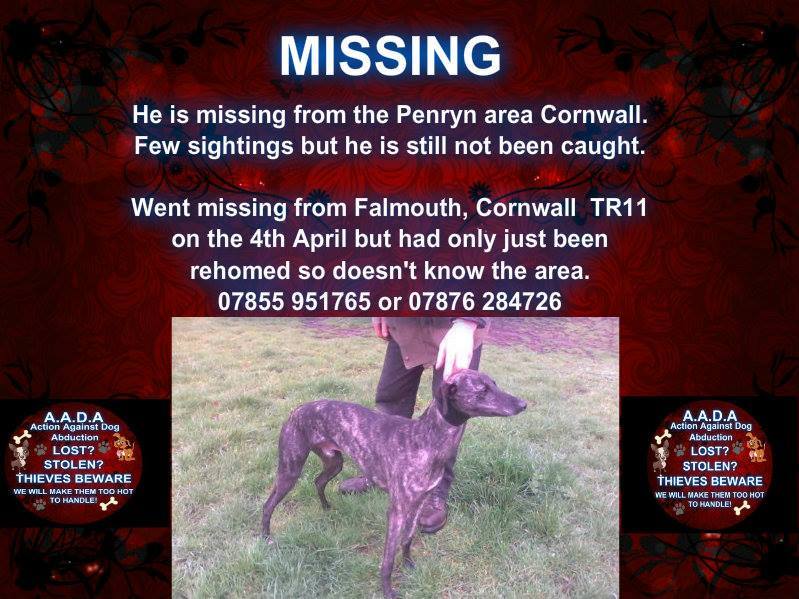 Sarah Williams tweet media