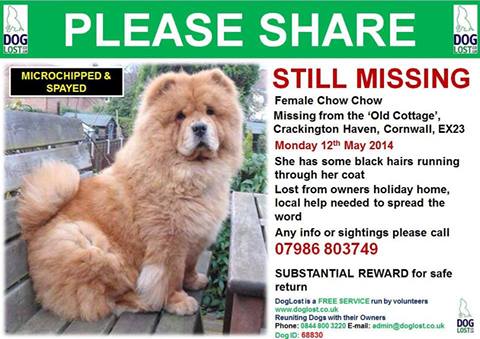 Sarah Williams tweet media