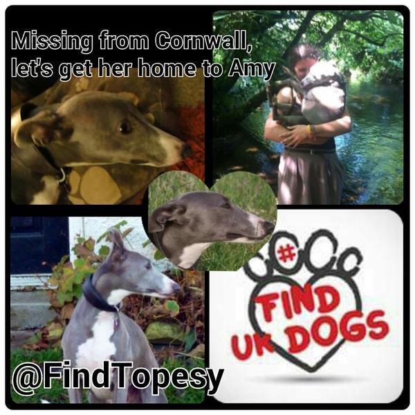 Sarah Williams tweet media