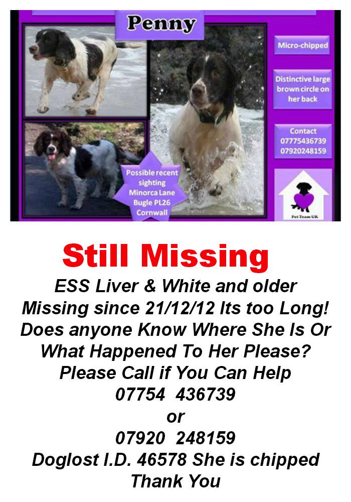 Sarah Williams tweet media