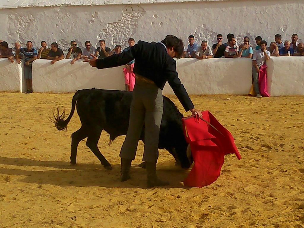 MEscacenaPineda's tweet photo. Que bonito es poder disfrutar del toreo y aún más viendo torear a @AFdezPineda 
Ayer me tocastes las fibras hermano!! http://t.co/WAEQgQduC7