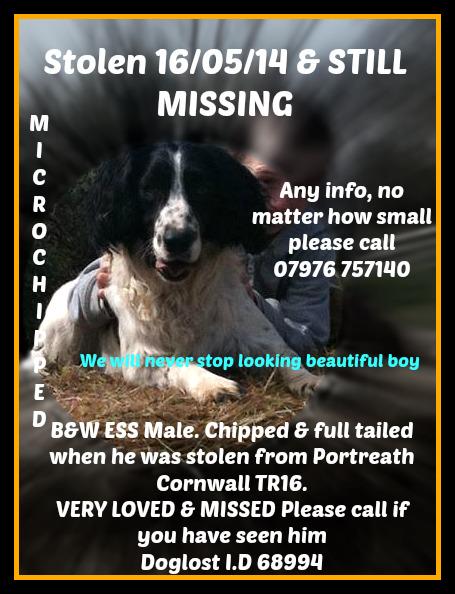 Sarah Williams tweet media