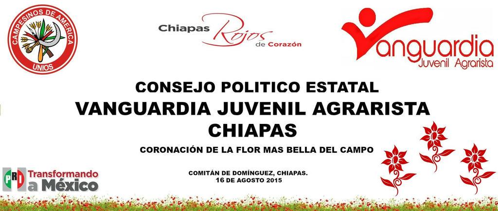 VJACHIAPAS's tweet photo. Cada vez más cerca de nuestro Consejo Político Estatal y Coronación de la Flor más Bella del Campo 2015 #Durango2015 http://t.co/MDNYGwgkIl