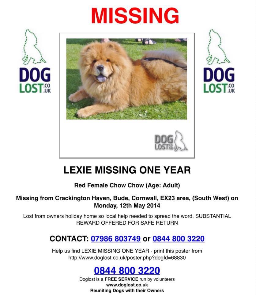 Sarah Williams tweet media