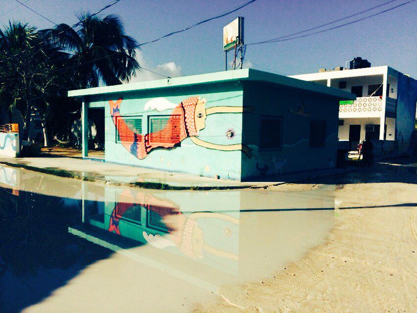 holboxtrips's tweet photo. Muy buenas tengan, ese viernes de colores, con nuestros más cordiales saludos desde #Holbox http://t.co/lN36pzDZtt
