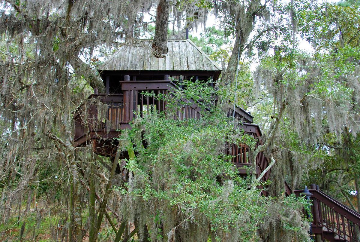 ContikiCanada's tweet photo. #AdventureCheck Meet the guy who lives in the world's best tree house http://t.co/cxSerm15TR #contikiSixTwo #goals http://t.co/n7GNqVZuRW