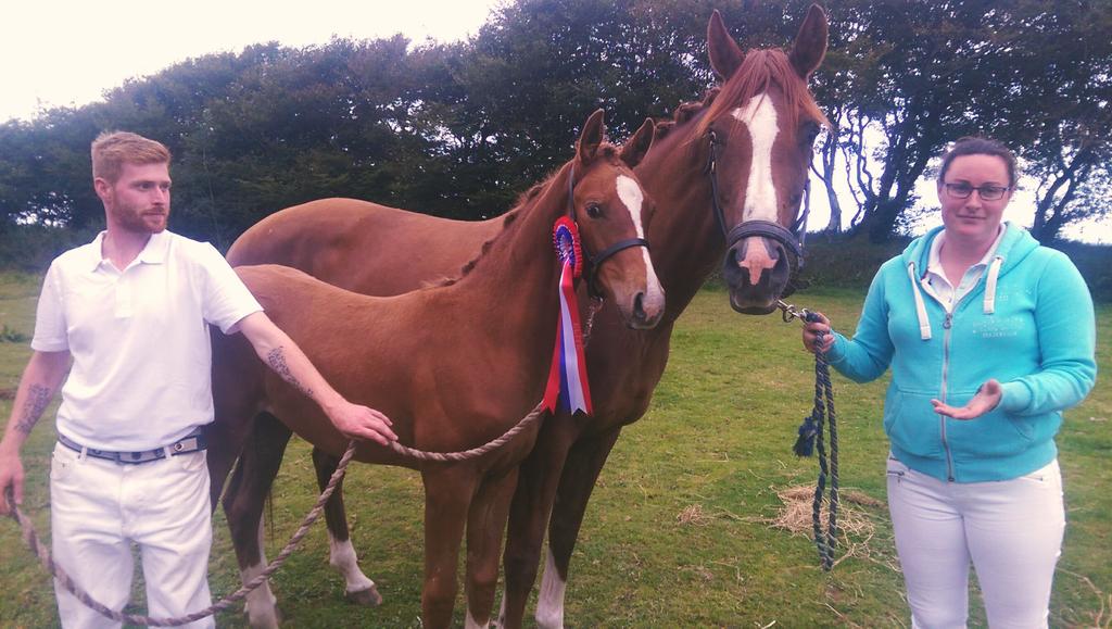 NewtonStud's tweet photo. Thrilled that our lovely foal Newton Flexitime (Fürst Romancier x Vivaldi) was the only elite at today's @BEFfuturity http://t.co/5NQb4FDBOM