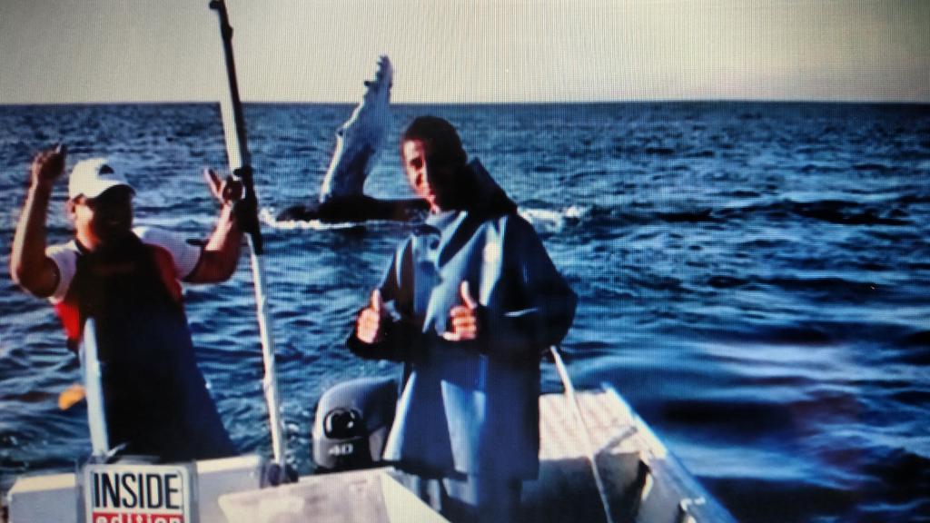JohnInSportz's tweet photo. WOW Whale thanks who freed him. @StefaniSchaefer @BethSilverberg @JCSCUHOOPS #InSportz #AkronCodes #sweatwiththepest http://t.co/tLg38AH9AN