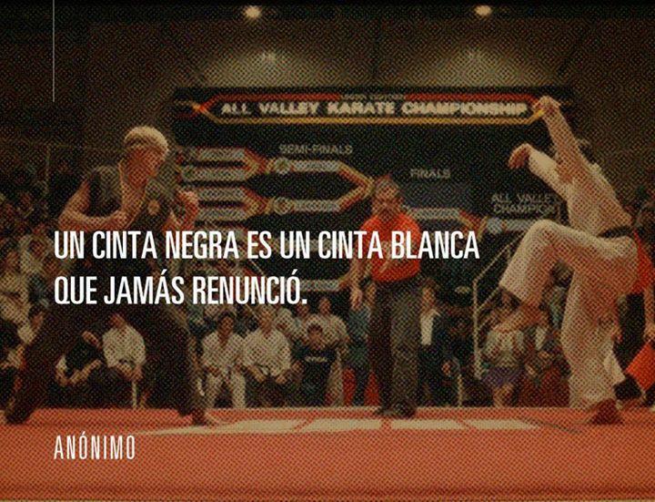 Dr_Blazquez's tweet photo. Las artes marciales muestran en los colores del cinturon la costancia. http://t.co/a1BX9ftYjB