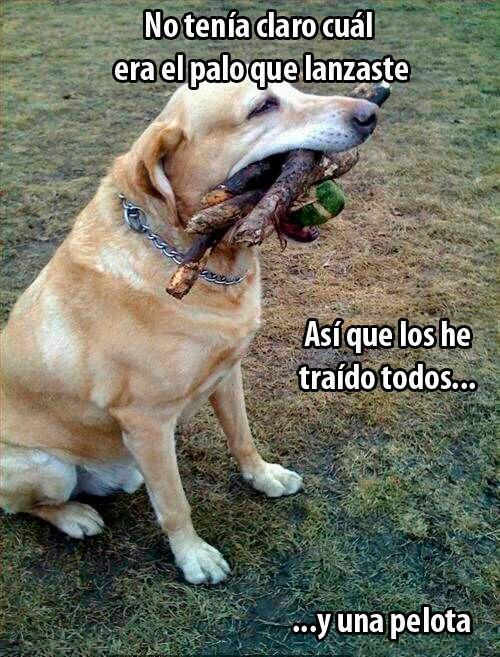YosiSideral's tweet photo. No olvidemos cuidar, amar y respetar a los animalitos. 
¡Feliz fin de semana! Karla Calvillo :D http://t.co/oSJhC6j7q8