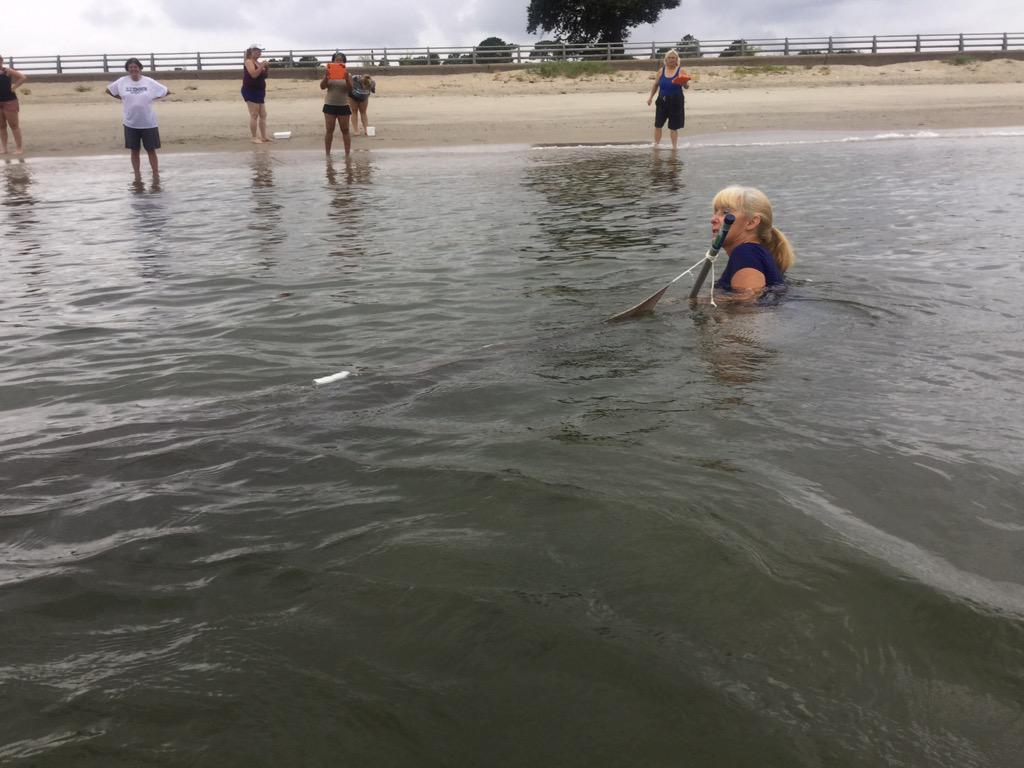 HCS_ScienceDept's tweet image. #HCSScience teachers practice their seining technique at Fort Monroe.