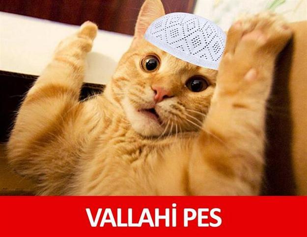 #44BinleRekorAtamaEdebiyata İki yılda iki katına çıkan Edebiyatçı sayısını görünce biz: